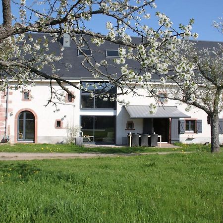 La Colline Du Baa - Maison D'Hotes D'Exception Lapoutroie Εξωτερικό φωτογραφία