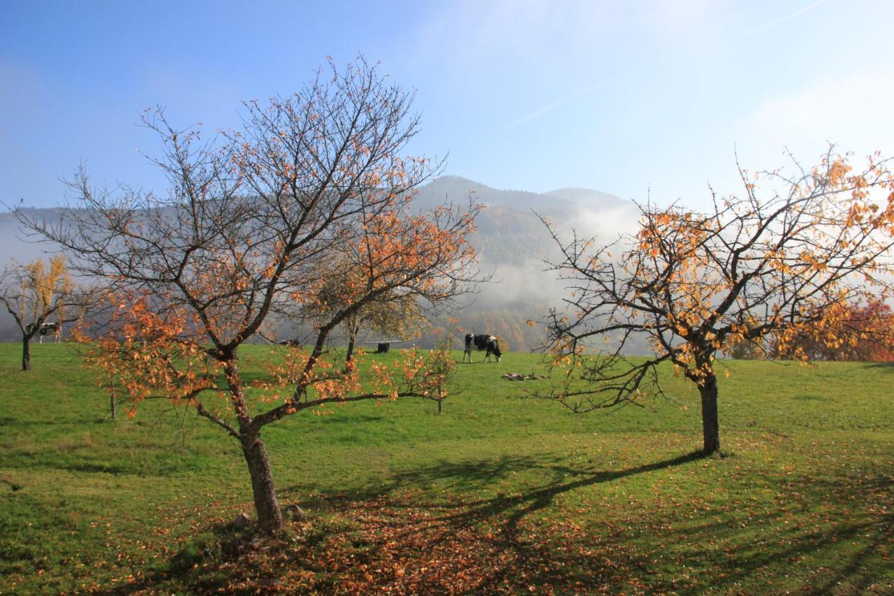La Colline Du Baa - Maison D'Hotes D'Exception Lapoutroie Εξωτερικό φωτογραφία